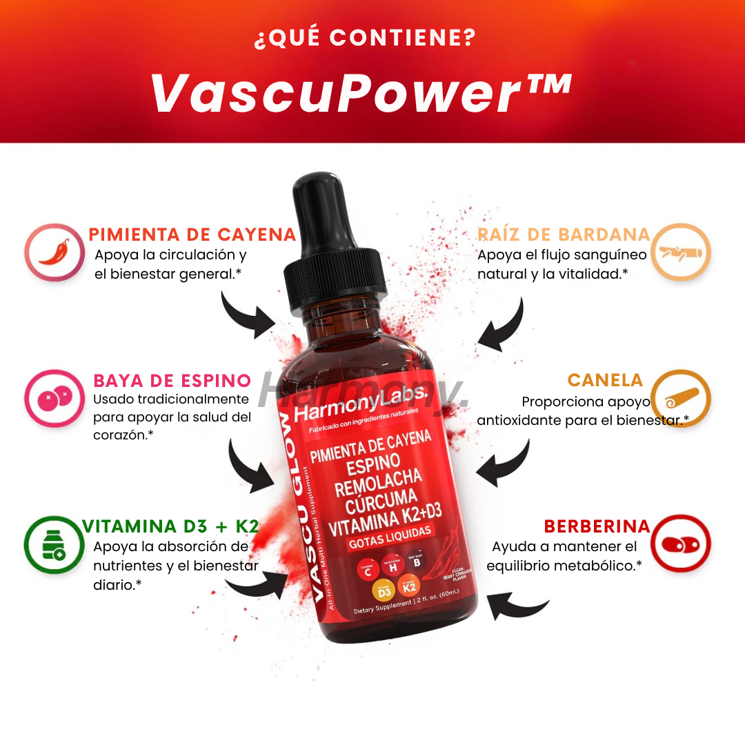 VascuPower™ – Circulación fuerte, energía real.